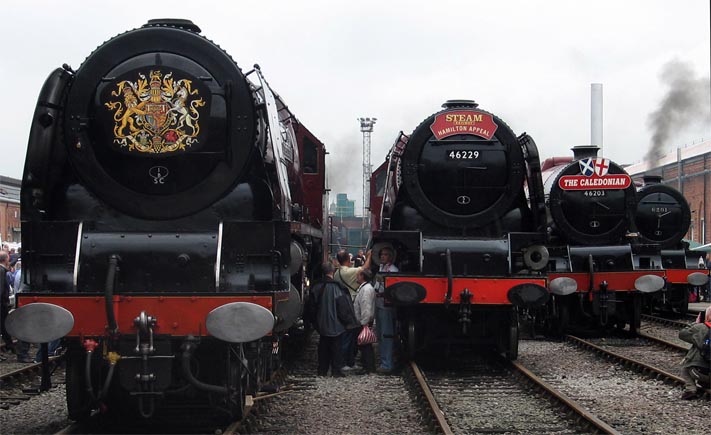  Duchess of Sutherland was on the left then Duchess of Hamleton and then Princess Royal Class no.6203 Princess Margaret Rose . LMS 4-6-2 no.6201 Princess Royal Class Princess Elizabeth is on the right