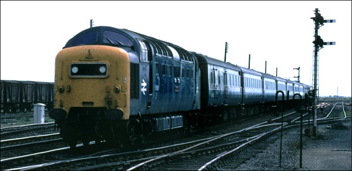 A Class 55 Deltic comes though the South Yard at March on a Sunday 