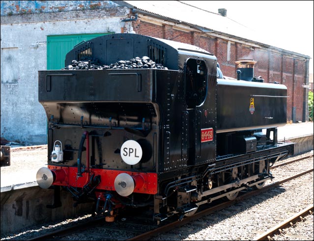 GWR 0-6-0ST no.8443 at Dereham on the 19th of July 2013 in British Railways unlined black