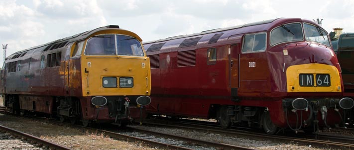 D1015 Western Champion and D821 Greyhound 