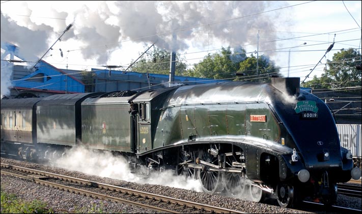 LNER class A4 4-6-2 number 60019 Bittern and its twin tenders on the down fast at Peterborough station on the 30th 9th 2010 