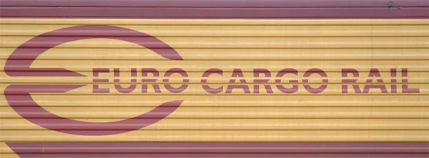 Close up of the Euro Cargo Rail logo on 66191 