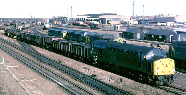 Class 40056 with a long coal train 