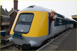 small photo only of the HST