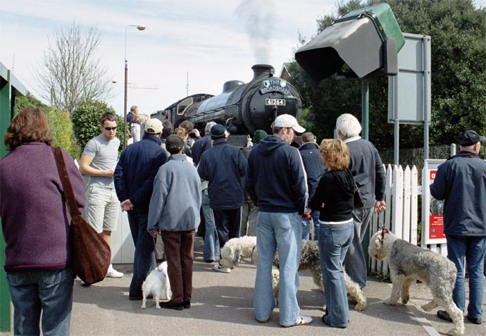 Lots of people and dogs came over from the North Norfolk railway station to see the B1