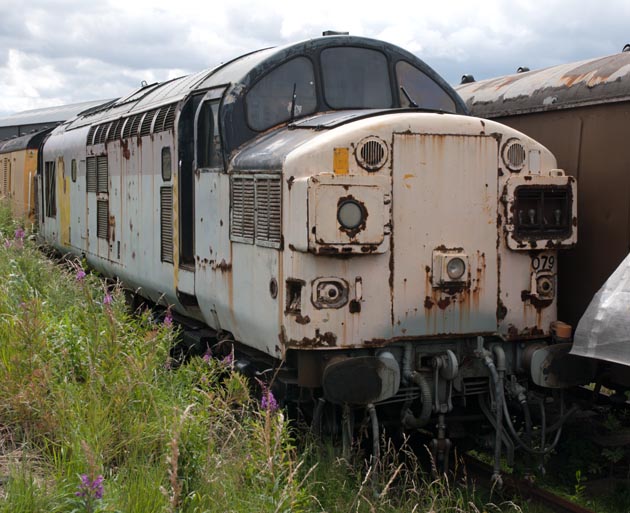 Class 37 079 at Barrow Hill 