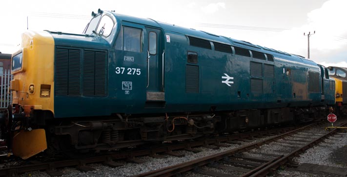 Class 37275 in British Rail blue 