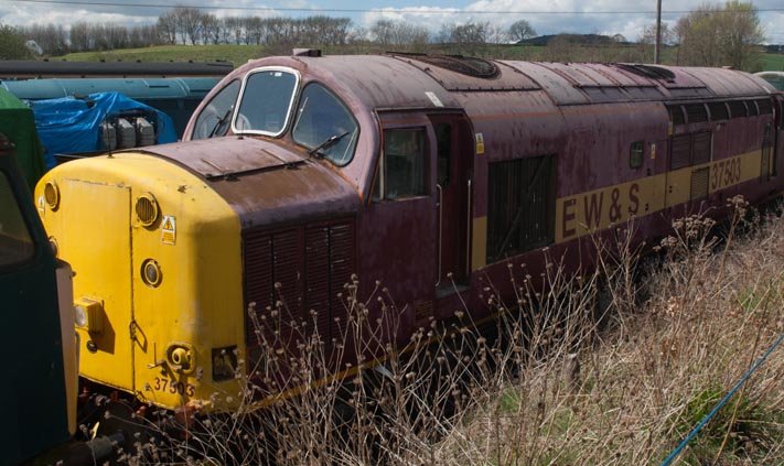 EW&S Class 37 503 at Barrow Hill 