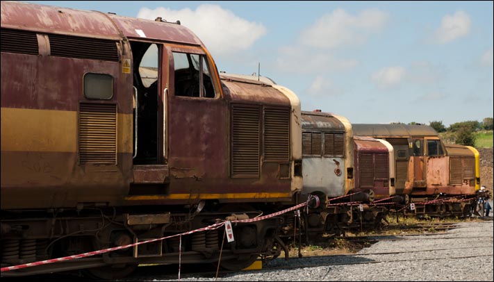 Line of class 37s awaiting there fate