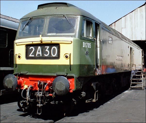 D1705 on shed