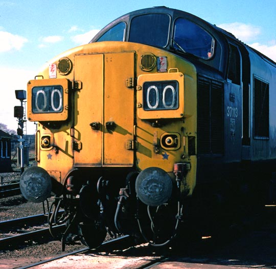 Class 37113 at Kings Lynn.