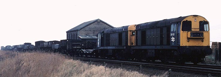 A pair of class 20s with 20135 on a freight